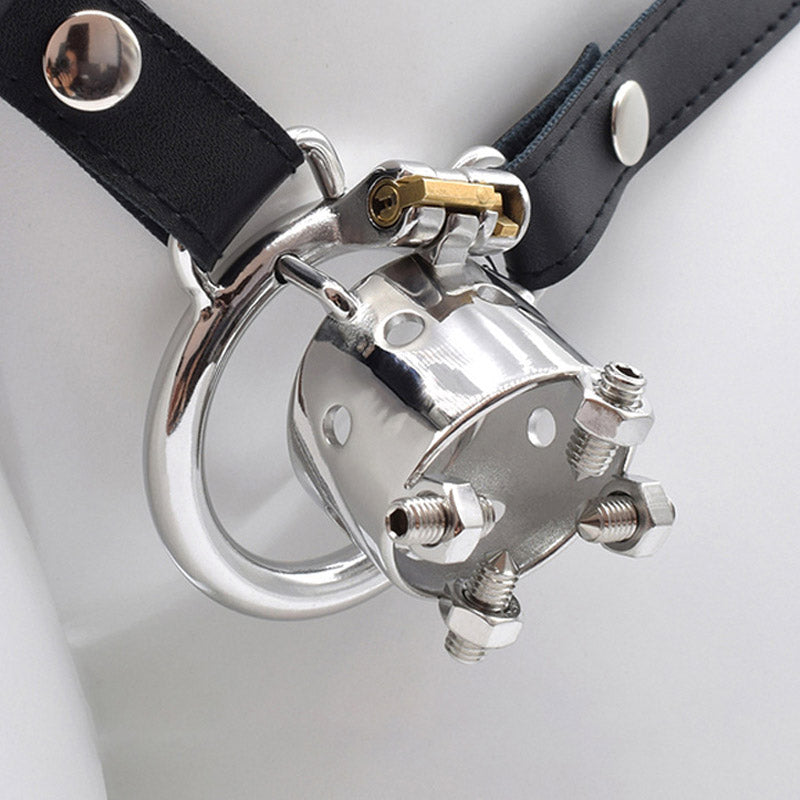 Bolted Chastity Cage With Spikes