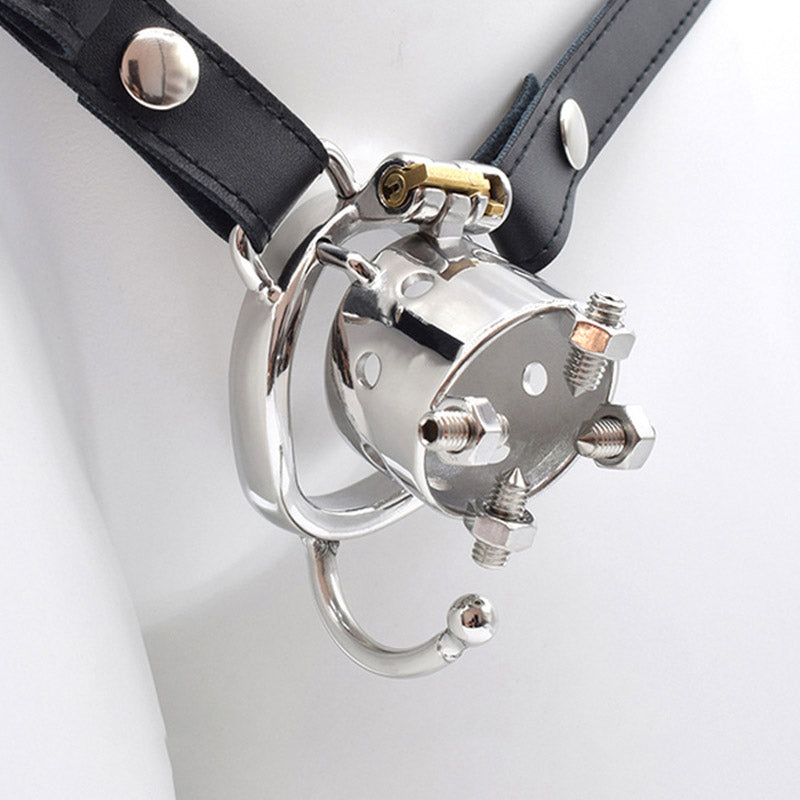 Bolted Chastity Cage With Spikes