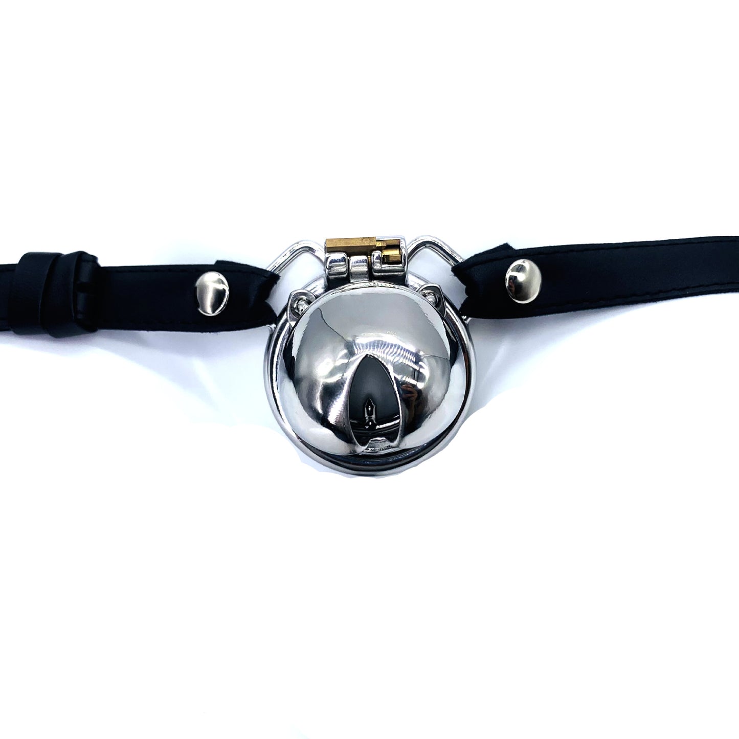 penis chastity cage